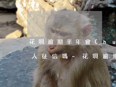 花唄逾期半年會(huì)影響個(gè)人征信嗎-花唄逾期半年會(huì)影響個(gè)人征信嗎知乎