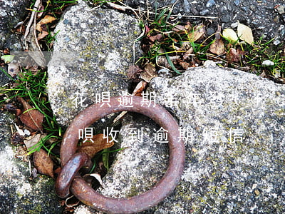 花唄逾期半年發(fā)短信警告(支付寶花唄收到逾期短信)