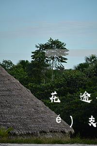 花唄逾期半年真的會(huì)凍結(jié)支付寶么-花唄逾期半年真的會(huì)凍結(jié)支付寶么嗎