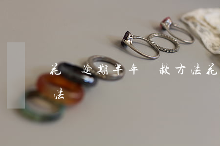 花唄逾期半年補救方法(花唄逾期半年補救方法)