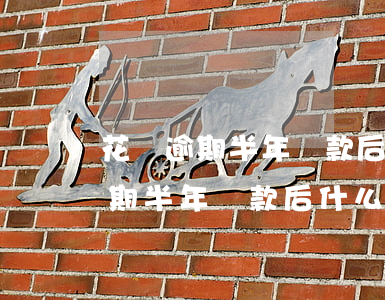 花唄逾期半年還款后什么時候恢復-花唄逾期半年還款后什么時候恢復額度