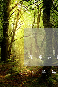 花唄逾期半年還款要多久才能重開-花唄逾期半年還款要多久才能重開呢