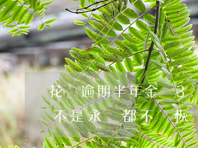 花唄逾期半年金額3萬(花唄逾期3個多月是不是永遠都不會恢復了)