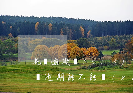 花唄逾期協(xié)商免息流程(支付寶花唄逾期能不能協(xié)商減免罰息還款)