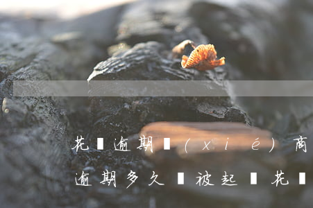 花唄逾期協(xié)商分期案例(花唄分期逾期多久會被起訴?花唄逾期被起訴怎么辦)