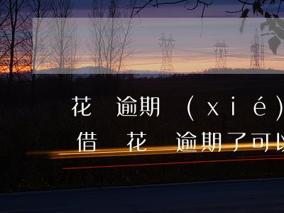 花唄逾期協(xié)商成功的有嗎(支付寶借唄花唄逾期了可以協(xié)商還款嗎)