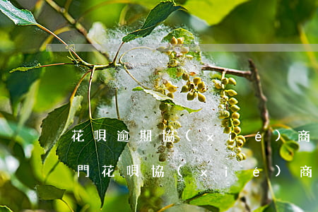 花唄逾期協(xié)商找哪個(gè)部門(花唄協(xié)商電話)