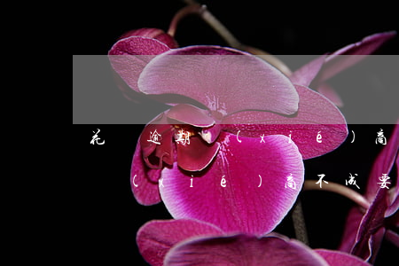 花唄逾期協(xié)商要證明嗎(花唄逾期協(xié)商不成要多長(zhǎng)時(shí)間才會(huì)被起訴)