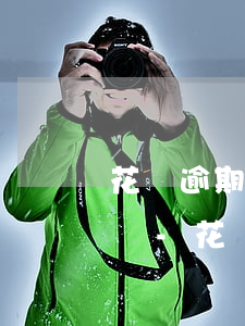 花唄逾期協(xié)商還本金投訴熱線電話-花唄逾期協(xié)商還本金投訴熱線電話是多少