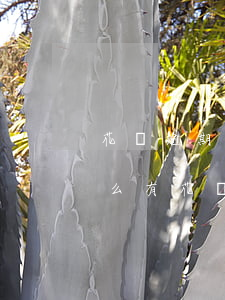 花唄逾期協(xié)商還款其它憑證是什么(有花唄賬單逾期行為,請(qǐng)盡快還款(已還請(qǐng)忽略))
