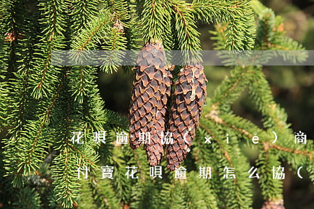花唄逾期協(xié)商還款反饋怎么寫(支付寶花唄逾期怎么協(xié)商延期還款)