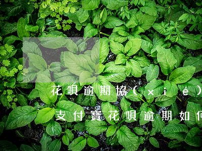 花唄逾期協(xié)商還款無果該怎么辦(支付寶花唄逾期如何協(xié)商還款)
