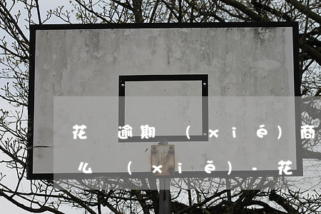 花唄逾期協(xié)商還款的事件描述怎么寫(xiě)-花唄逾期協(xié)商還款事件描述怎么寫(xiě)的