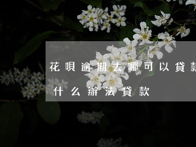 花唄逾期去哪可以貸款(花唄信用卡逾期還有什么辦法貸款)
