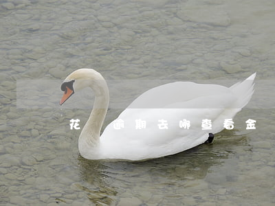 花唄逾期去哪查看金額 花唄逾期去哪查看金額