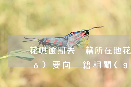 花唄逾期去戶籍所在地(花唄逾期說(shuō)要向戶籍相關(guān)部門協(xié)助處理)