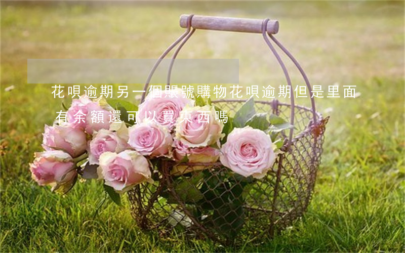花唄逾期另一個賬號購物(花唄逾期但是里面有余額還可以買東西嗎)