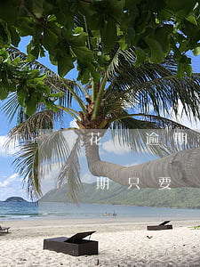 花唄逾期只要銀行卡有錢就會扣嗎-花唄逾期只要銀行卡有錢就會扣嗎安全嗎