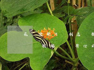 花唄逾期只還利息會被起訴嗎(花唄借唄逾期沒還被起訴會有什么后果)