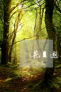 花唄逾期可不可以每月還一二百-