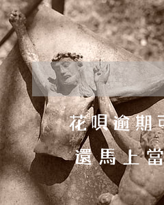 花唄逾期可不可以當兵(花唄還有1000沒還馬上當兵走了怎么辦)