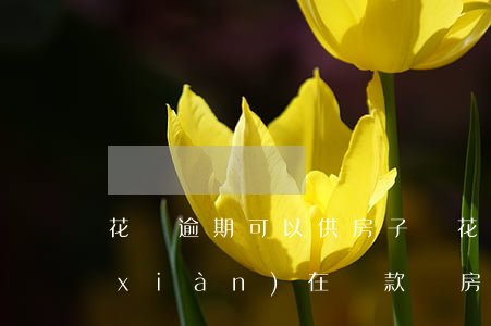 花唄逾期可以供房子嗎(花唄逾期還完了現(xiàn)在貸款買房子可以用嗎?)