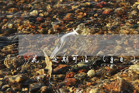 花唄逾期可以個(gè)性化還款嗎