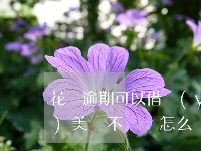 花唄逾期可以借醫(yī)美貸嗎(醫(yī)美貸不還會怎么樣)