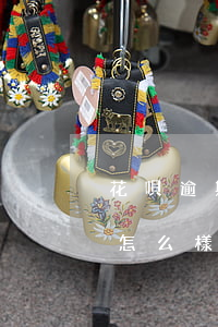 花唄逾期可以借高利貸嗎(高利貸逾期不還會怎么樣)