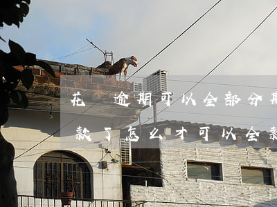 花唄逾期可以全部分期嗎(花唄逾期后分期付款了,怎么才可以全款還花唄呢)
