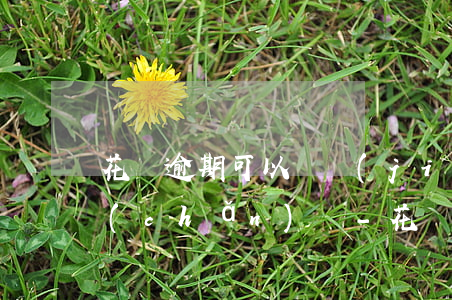 花唄逾期可以凍結(jié)名下所有財產(chǎn)嗎-花唄逾期可以凍結(jié)名下所有財產(chǎn)嗎