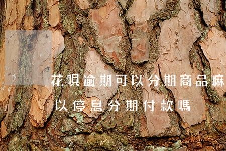 花唄逾期可以分期商品嘛(支付寶花唄逾期可以停息分期付款嗎)