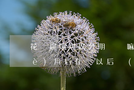 花唄逾期可以分期買車嘛(花唄逾期1個(gè)月后在還以后會(huì)不會(huì)影響分期買房和車)