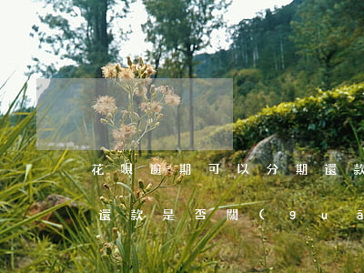 花唄逾期可以分期還款(花唄逾期后不能分期還款是否關(guān)閉花唄)