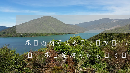 花唄逾期可以去銀行辦理儲(chǔ)蓄卡嗎-花唄逾期可以去銀行辦理儲(chǔ)蓄卡嗎安全嗎