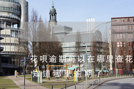花唄逾期可以在哪里查(花唄顯示有逾期 但不知道哪里逾期了)