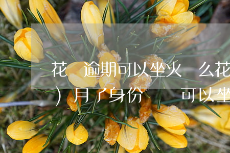 花唄逾期可以坐火車么(花唄逾期四個(gè)月了身份證還可以坐火車嗎)