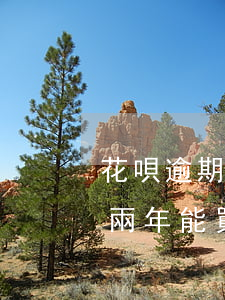 花唄逾期可以坐飛機(jī)嘛(花唄逾期能兩年能買(mǎi)到飛機(jī)票能不能坐飛機(jī))
