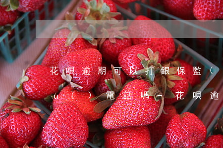 花唄逾期可以打銀保監(jiān)會(huì)電話嗎-花唄逾期可以打銀保監(jiān)會(huì)電話嗎是真的嗎