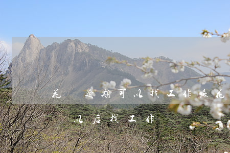 花唄逾期可以找工作嘛(花唄會(huì)影響以后找工作嗎)
