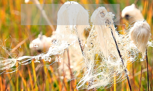 花唄逾期可以換號碼嗎(花唄逾期換了賬戶用,里面的錢會給轉(zhuǎn)走嗎)