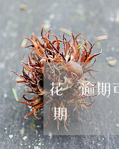 花唄逾期可以汽車分期嗎(欠花唄能過汽車分期嗎)