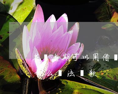 花唄逾期可以用借條嗎(花唄信用卡逾期還有什么辦法貸款)