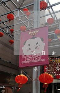 花唄逾期可以用花花卡么(花唄逾期可以用花花卡么)