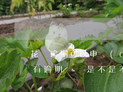花唄逾期可以申請(qǐng)白條嗎(花唄有逾期記錄是不是不能辦理信用卡)