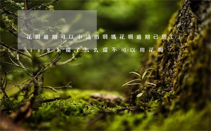 花唄逾期可以申請借唄嗎(花唄逾期已經(jīng)還了,怎么還不可以用花唄)