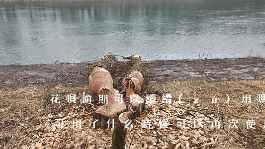 花唄逾期可以繼續(xù)用嗎(花唄逾期不可用了什么時候可以再次使用)