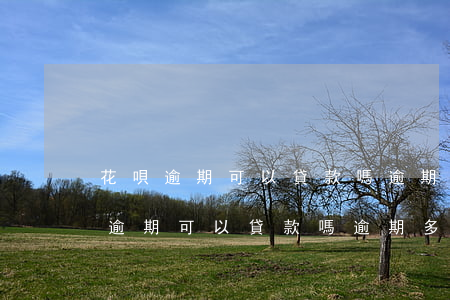 花唄逾期可以貸款嗎?逾期多久上征信-花唄逾期可以貸款嗎?逾期多久上征信?