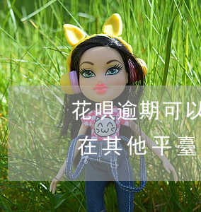 花唄逾期可以貸款的平臺(花唄老逾期還可以在其他平臺貸款嗎)
