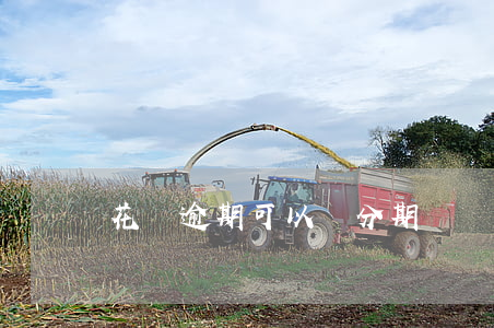 花唄逾期可以辦分期